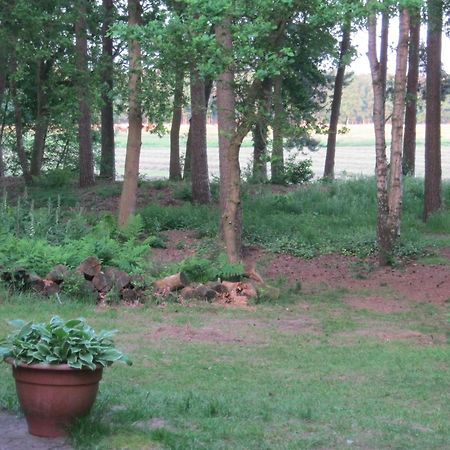 Vakantiehuis Op Top Locatie #Ommen Eksteriør bilde