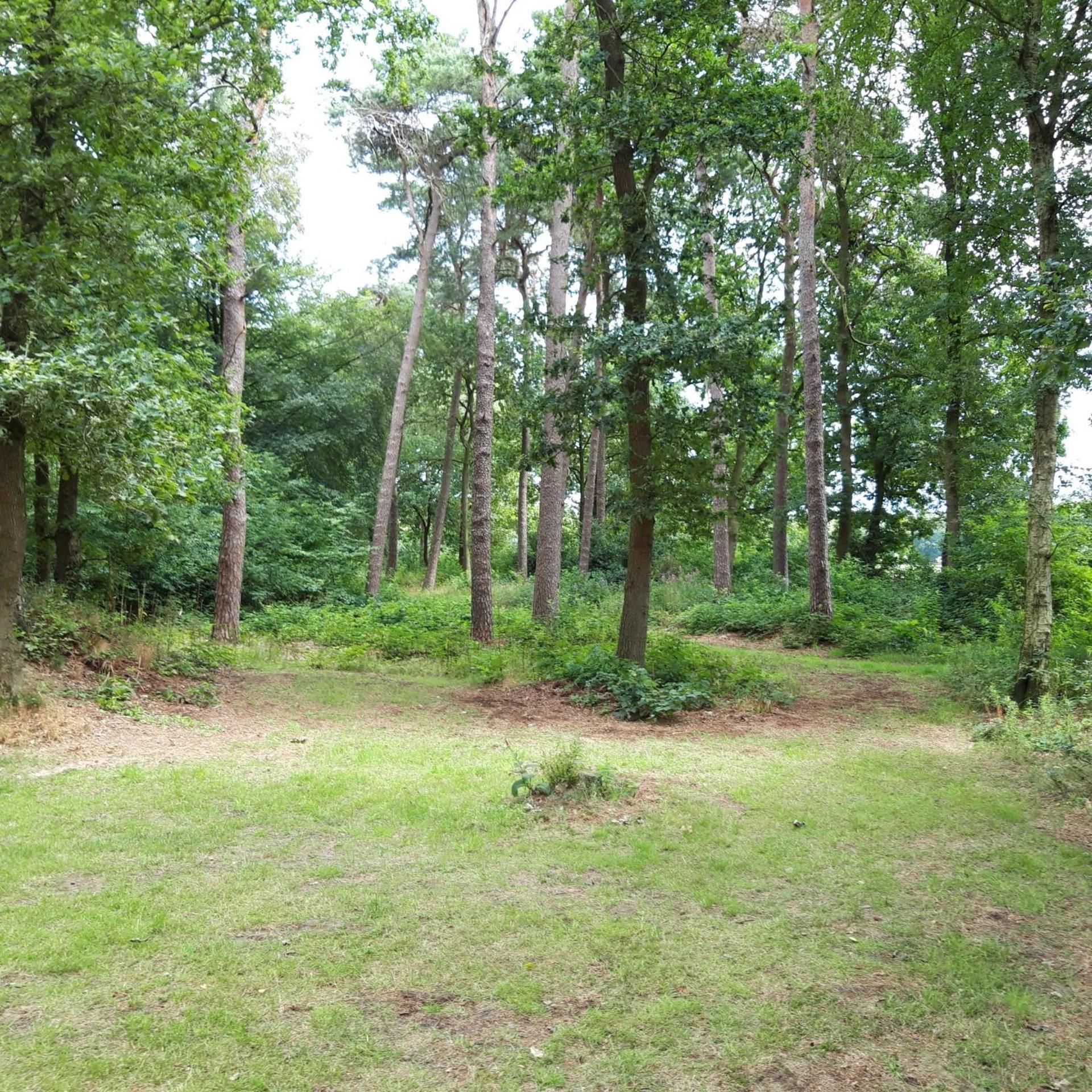 Vakantiehuis Op Top Locatie #Ommen Eksteriør bilde
